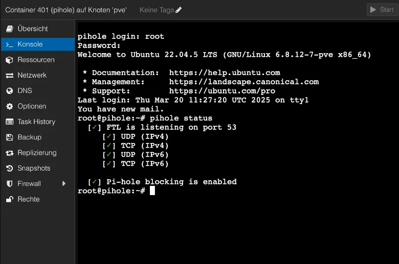 Pi-hole Status CLI Prüfen